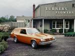 Chevrolet Vega 12-ton Panel Express 1974 года